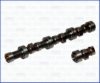 NISSA 1300119P80 Camshaft